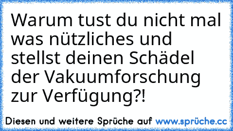 Warum tust du nicht mal was nützliches und stellst deinen Schädel der Vakuumforschung zur Verfügung?!