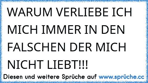 WARUM VERLIEBE ICH MICH IMMER IN DEN FALSCHEN DER MICH NICHT LIEBT!!!