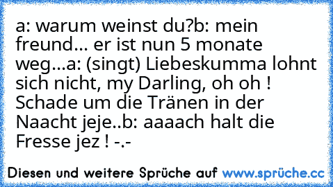 a: warum weinst du?
b: mein freund... er ist nun 5 monate weg...
a: (singt) Liebeskumma lohnt sich nicht, my Darling, oh oh ! Schade um die Tränen in der Naacht jeje..
b: aaaach halt die Fresse jez ! -.-