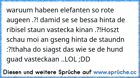 waruum habeen elefanten so rote augeen .?! damid se se bessa hinta de ribisel staun vastecka kinan .?!
Hoszt schau moi an gseng hinta de staundn :?!
thaha do siagst das wie se de hund guad vasteckaan ..
LOL ;DD