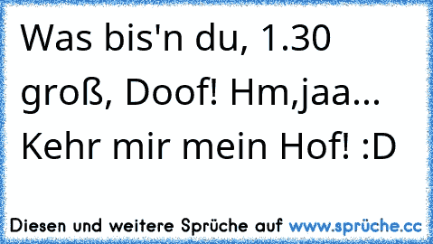 Was bis'n du, 1.30 groß, Doof! Hm,jaa... Kehr mir mein Hof! :D