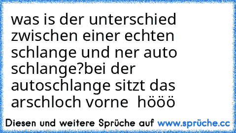 was is der unterschied zwischen einer echten schlange und ner auto schlange?
bei der autoschlange sitzt das arschloch vorne  hööö