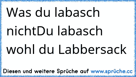 Was du labasch nicht
Du labasch wohl du Labbersack