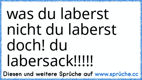 was du laberst nicht du laberst doch! du labersack!!!!!