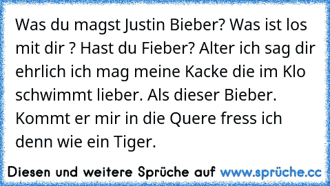 Was du magst Justin Bieber? Was ist los mit dir ? Hast du Fieber? Alter ich sag dir ehrlich ich mag meine Kacke die im Klo schwimmt lieber. Als dieser Bieber. Kommt er mir in die Quere fress ich denn wie ein Tiger.