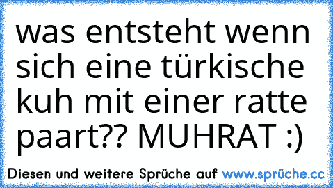 was entsteht wenn sich eine türkische kuh mit einer ratte paart?? MUHRAT :)