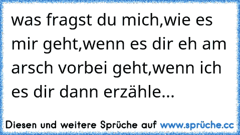 was fragst du mich,wie es mir geht,wenn es dir eh am arsch vorbei geht,wenn ich es dir dann erzähle...