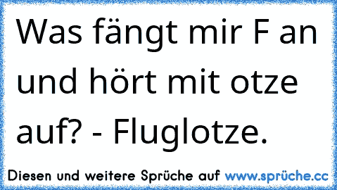 Was fängt mir F an und hört mit otze auf? - Fluglotze.