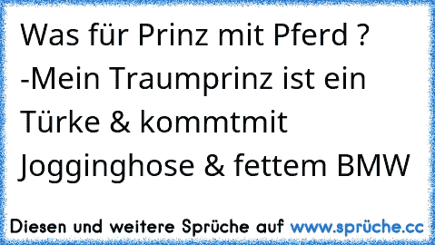 Was für Prinz mit Pferd ? -
Mein Traumprinz ist ein Türke & kommt
mit Jogginghose & fettem BMW ♥