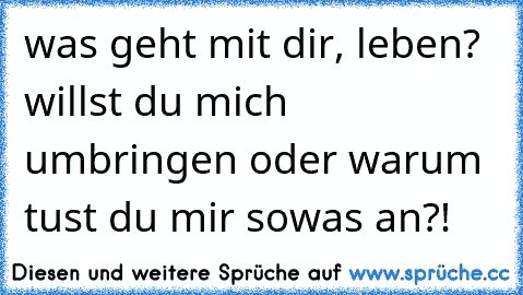 was geht mit dir, leben? willst du mich umbringen oder warum tust du mir sowas an?!