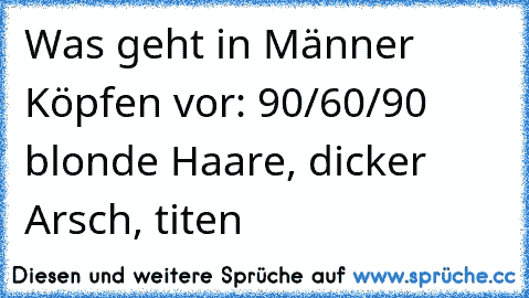 Was geht in Männer Köpfen vor: 90/60/90 blonde Haare, dicker Arsch, titen