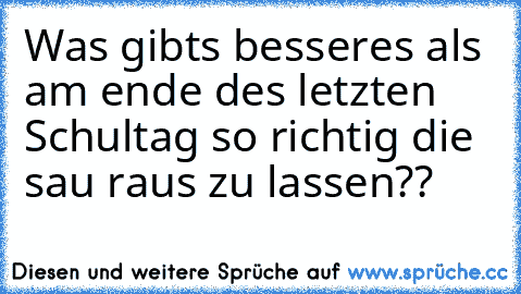 Was gibts besseres als am ende des letzten Schultag so richtig die sau raus zu lassen??