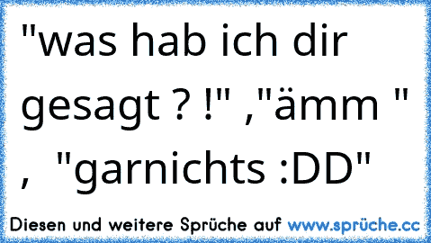 "was hab ich dir gesagt ? !" ,
"ämm " ,  "garnichts :DD"