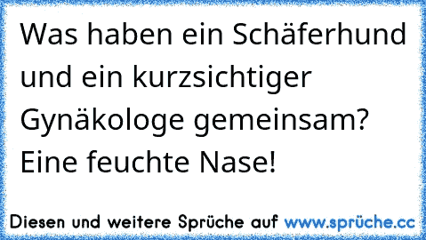 Was haben ein Schäferhund und ein kurzsichtiger Gynäkologe gemeinsam? Eine feuchte Nase!