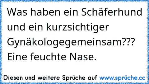 Was haben ein Schäferhund und ein kurzsichtiger Gynäkologe
gemeinsam??? Eine feuchte Nase.