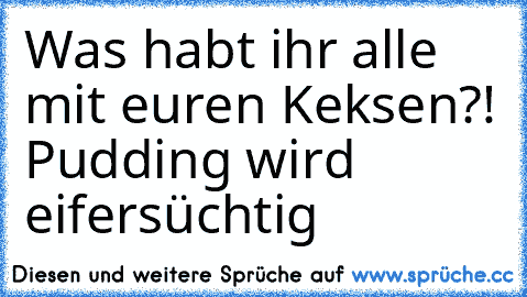 Was habt ihr alle mit euren Keksen?! Pudding wird eifersüchtig ♥