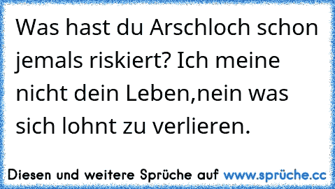 Was hast du Arschloch schon jemals riskiert? Ich meine nicht dein Leben,nein was sich lohnt zu verlieren.