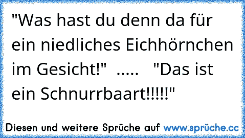 "Was hast du denn da für ein niedliches Eichhörnchen im Gesicht!"  .....   "Das ist ein Schnurrbaart!!!!!"