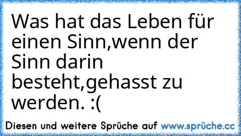 Was hat das Leben für einen Sinn,wenn der Sinn darin besteht,gehasst zu werden. :(