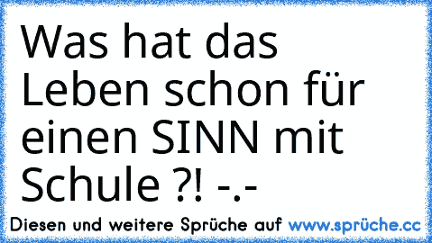 Was hat das Leben schon für einen SINN mit Schule ?! -.-