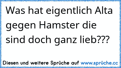 Was hat eigentlich Alta gegen Hamster die sind doch ganz lieb???