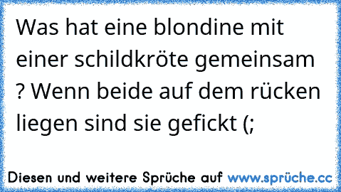 Was hat eine blondine mit einer schildkröte gemeinsam ? Wenn beide auf dem rücken liegen sind sie gefickt (;