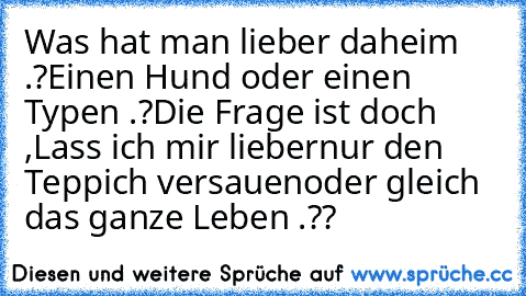 Was hat man lieber daheim .?
Einen Hund oder einen Typen .?
Die Frage ist doch ,
Lass ich mir lieber
nur den Teppich versauen
oder gleich das ganze Leben .??