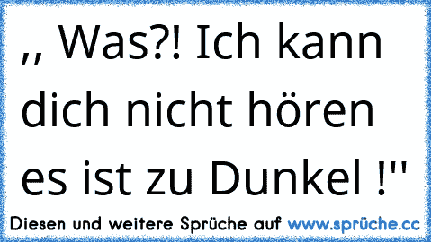 ,, Was?! Ich kann dich nicht hören es ist zu Dunkel !''