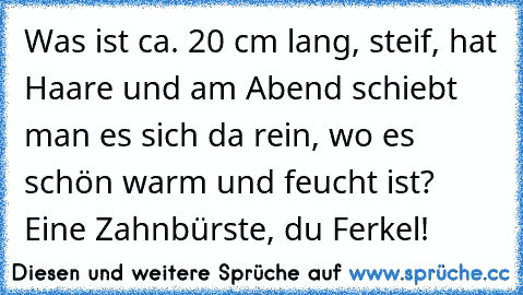 Was ist ca. 20 cm lang, steif, hat Haare und am Abend schiebt man es sich da rein, wo es schön warm und feucht ist? Eine Zahnbürste, du Ferkel!