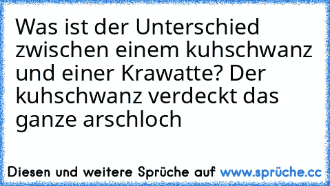 Was ist der Unterschied zwischen einem kuhschwanz und einer Krawatte? Der kuhschwanz verdeckt das ganze arschloch