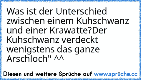 Was ist der Unterschied zwischen einem Kuhschwanz und einer Krawatte?
Der Kuhschwanz verdeckt wenigstens das ganze Arschloch" ^^