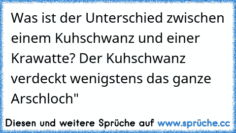 Was ist der Unterschied zwischen einem Kuhschwanz und einer Krawatte? Der Kuhschwanz verdeckt wenigstens das ganze Arschloch"