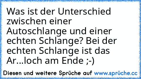 Was ist der Unterschied zwischen einer Autoschlange und einer echten Schlange? Bei der echten Schlange ist das Ar...loch am Ende ;-)