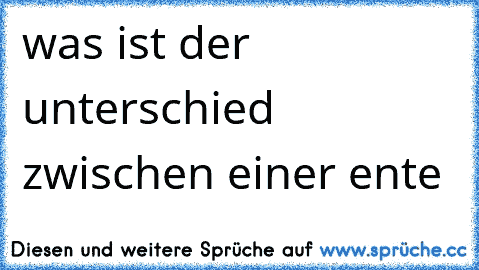 was ist der unterschied zwischen einer ente  ♥