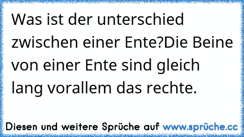 Was ist der unterschied zwischen einer Ente?
Die Beine von einer Ente sind gleich lang vorallem das rechte.