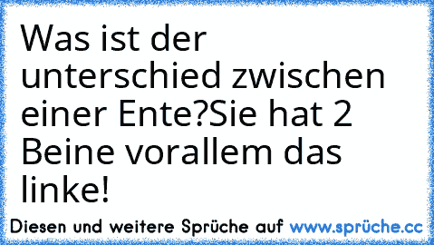 Was ist der unterschied zwischen einer Ente?
Sie hat 2 Beine vorallem das linke!