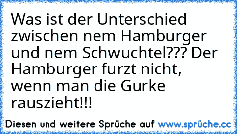 Was ist der Unterschied zwischen nem Hamburger und nem Schwuchtel??? 
Der Hamburger furzt nicht, wenn man die Gurke rauszieht!!!