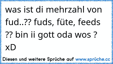 was ist di mehrzahl von fud..?? fuds, füte, feeds ?? bin ii gott oda wos ? xD