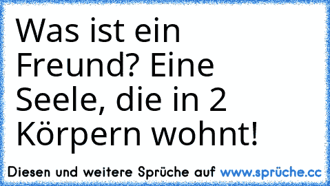 Was ist ein Freund? Eine Seele, die in 2 Körpern wohnt!