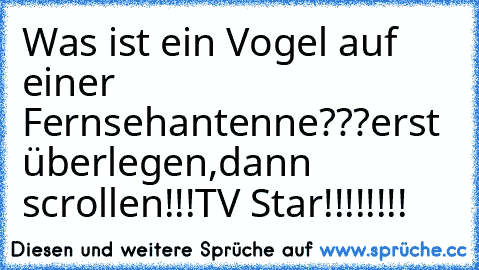 Was ist ein Vogel auf einer Fernsehantenne???
erst überlegen,dann scrollen!!!
TV Star!!!!!!!!