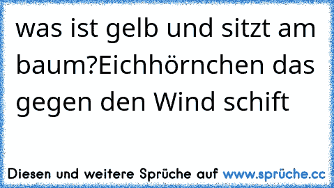 was ist gelb und sitzt am baum?
Eichhörnchen das gegen den Wind schift