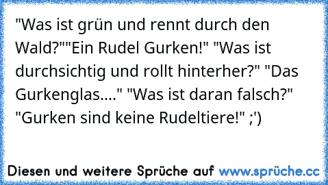 "Was ist grün und rennt durch den Wald?"
"Ein Rudel Gurken!" "Was ist durchsichtig und rollt hinterher?" "Das Gurkenglas...." "Was ist daran falsch?"  "Gurken sind keine Rudeltiere!" ;')