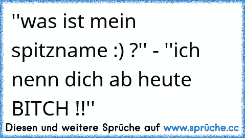 ''was ist mein spitzname :) ?'' - ''ich nenn dich ab heute BITCH !!''