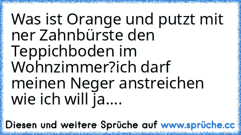 Was ist Orange und putzt mit ner Zahnbürste den Teppichboden im Wohnzimmer?
ich darf meinen Neger anstreichen wie ich will ja....