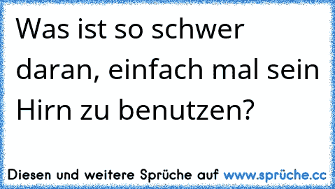 Was ist so schwer daran, einfach mal sein Hirn zu benutzen?