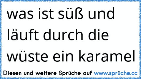 was ist süß und läuft durch die wüste 
ein karamel