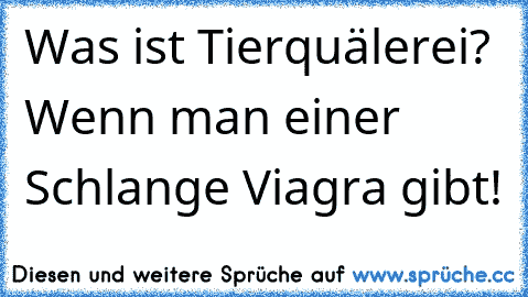 Was ist Tierquälerei? Wenn man einer Schlange Viagra gibt!