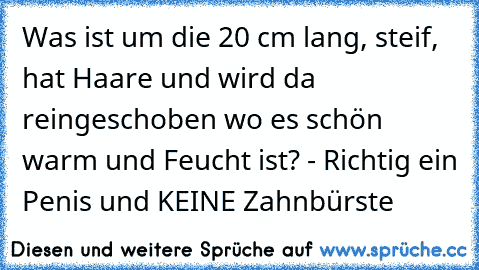 Was ist um die 20 cm lang, steif, hat Haare und wird da reingeschoben wo es schön warm und Feucht ist? - Richtig ein Penis und KEINE Zahnbürste