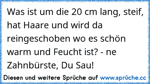 Was ist um die 20 cm lang, steif, hat Haare und wird da reingeschoben wo es schön warm und Feucht ist? - ne Zahnbürste, Du Sau!