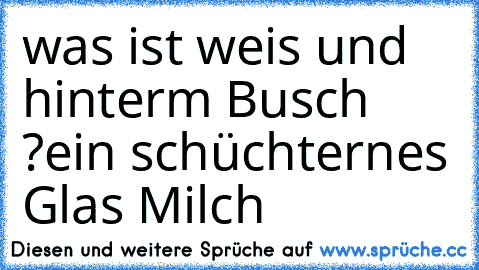 was ist weis und hinterm Busch ?
ein schüchternes Glas Milch